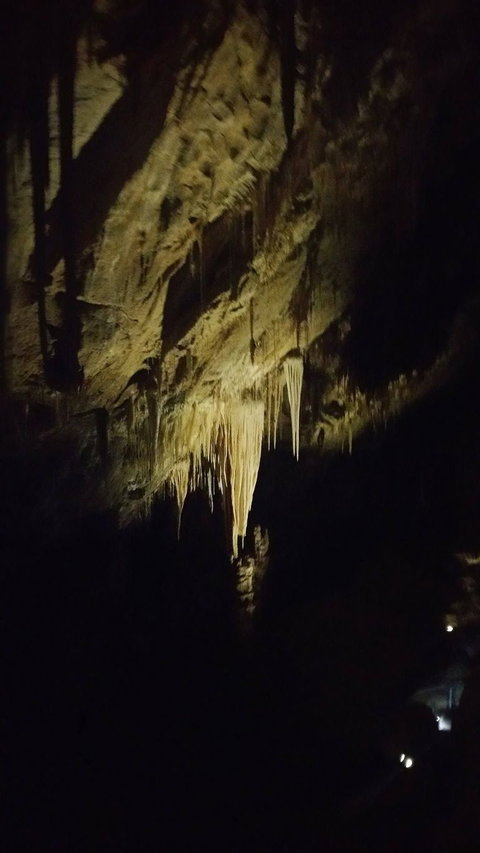 Small-group DayTour From Hobart: Hastings Caves, Huon Valley And Tahune AirWalk - Attractions Brisbane 7