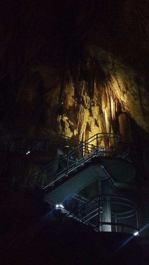 Small-group DayTour From Hobart: Hastings Caves, Huon Valley And Tahune AirWalk - Attractions Brisbane 4