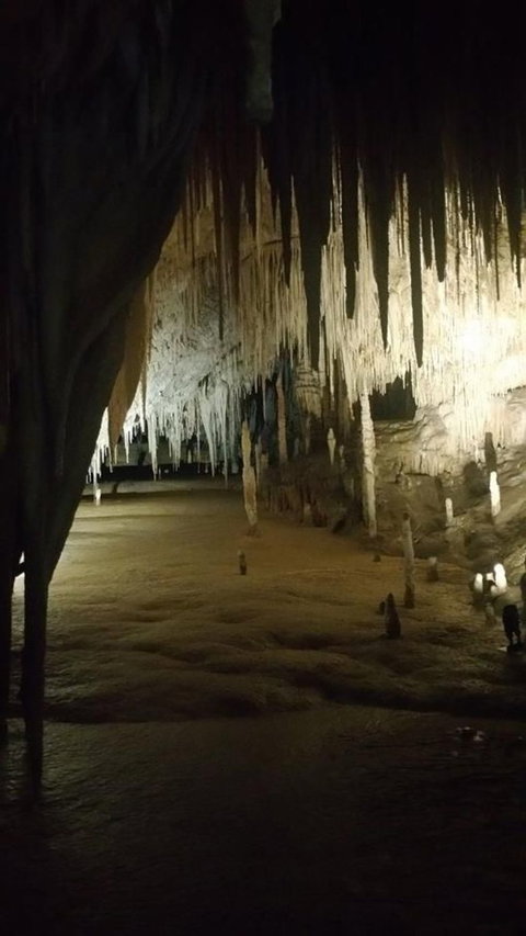 Small-group DayTour From Hobart: Hastings Caves, Huon Valley And Tahune AirWalk - Attractions Brisbane 8