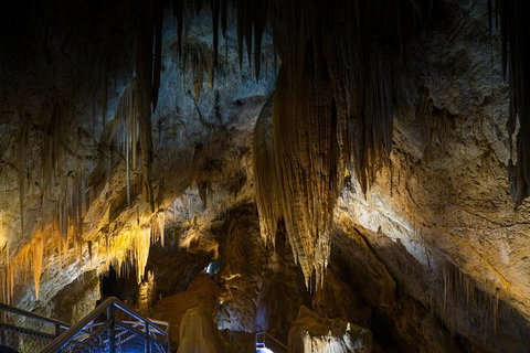 Small-group DayTour From Hobart: Hastings Caves, Huon Valley And Tahune AirWalk - Attractions Brisbane 19