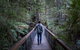 Small-group DayTour From Hobart: Hastings Caves, Huon Valley And Tahune AirWalk - thumb 11