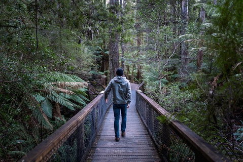 Small-group DayTour From Hobart: Hastings Caves, Huon Valley And Tahune AirWalk - Attractions Brisbane 11