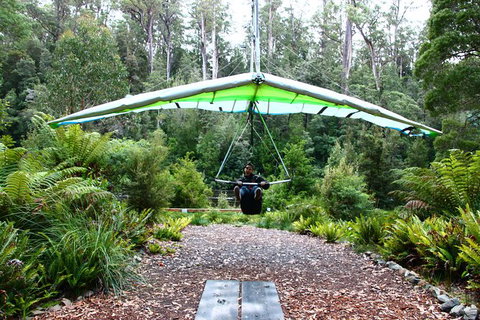Small-group DayTour From Hobart: Hastings Caves, Huon Valley And Tahune AirWalk - Attractions Brisbane 10