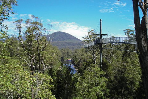 Small-group DayTour From Hobart: Hastings Caves, Huon Valley And Tahune AirWalk - Attractions Brisbane 9
