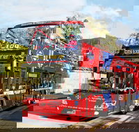 Hobart Hop-on Hop-off Bus Tour - Attractions Brisbane