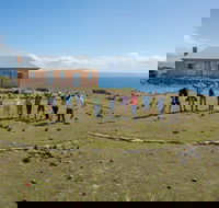 Maria Island Active Day Trip from Hobart - Attractions Brisbane