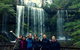 Mt Field National Park Active Day-Trip Including Bonorong And Mt Wellington - thumb 1