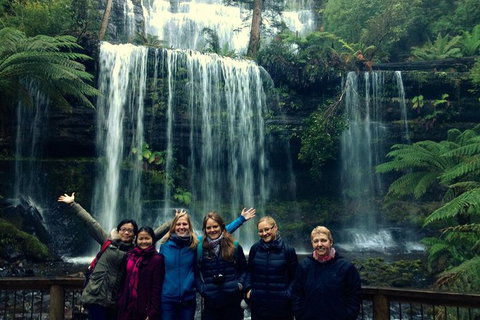 Mt Field National Park Active Day-Trip Including Bonorong And Mt Wellington - Attractions Brisbane 9