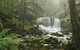 Mt Field National Park Active Day-Trip Including Bonorong And Mt Wellington - thumb 10