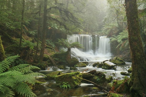 Mt Field National Park Active Day-Trip Including Bonorong And Mt Wellington - Attractions Brisbane 10
