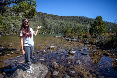 Mt Field National Park Active Day-Trip Including Bonorong And Mt Wellington - Attractions Brisbane 12