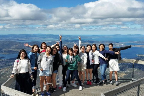 Mt Field National Park Active Day-Trip Including Bonorong And Mt Wellington - Attractions Brisbane 3