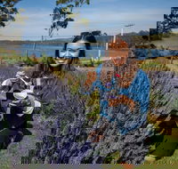 Port Arthur and Lavender Farm Active Day Tour - Attractions Brisbane