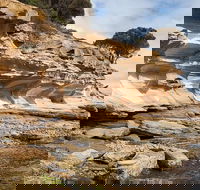 Maria Island premium private photo-oriented day tour from Hobart - Attractions Brisbane