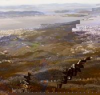 Mt Wellington Half Day Guided Summit Hike - Attractions Brisbane