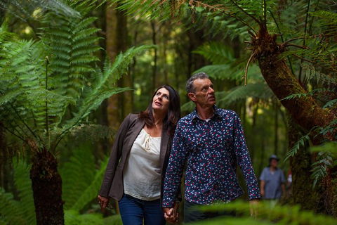 West Coast Wilderness Railway: River And Rainforest From Strahan - Attractions Brisbane 1