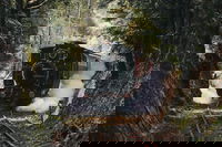 West Coast Wilderness Railway River and Rainforest from Strahan