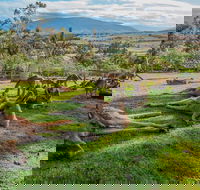 Shore Excursion Hobart's Best In Half A Day - Attractions Brisbane