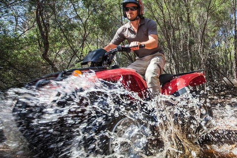 Half-Day Guided ATV Exploration Tour From Coles Bay - Attractions Brisbane 1