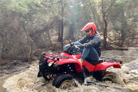 Half-Day Guided ATV Exploration Tour From Coles Bay - Attractions Brisbane 7