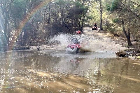Half-Day Guided ATV Exploration Tour From Coles Bay - Attractions Brisbane 3
