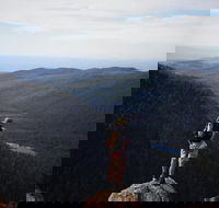 Mount Field National Park - Tarn Shelf  Russell Falls - Guided Hiking Tour - Attractions Brisbane