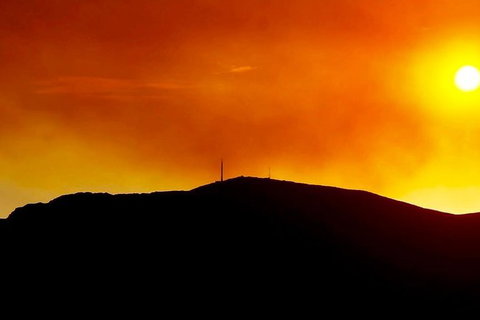 Half-Day Mt Wellington Summit Tour From Hobart - Attractions Brisbane 1