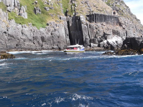 Day Trip To Tasman Peninsula And Port Arthur Historic Site From Hobart - Attractions Brisbane 5