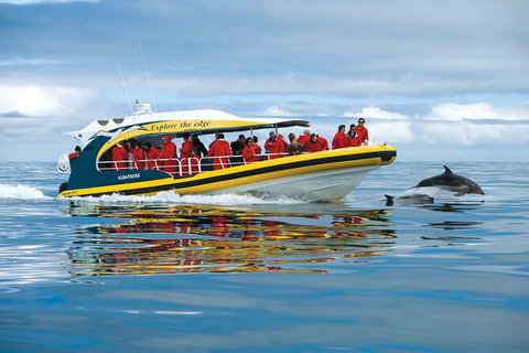 Day Trip To Tasman Peninsula And Port Arthur Historic Site From Hobart - Attractions Brisbane 10