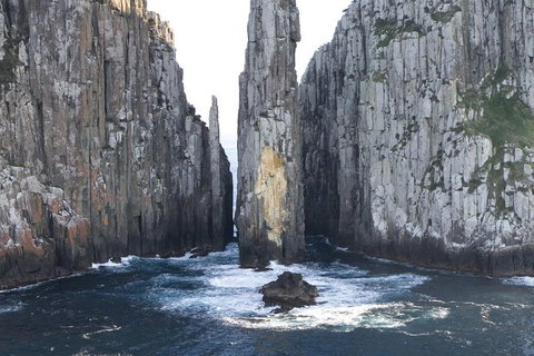 Day Trip To Tasman Peninsula And Port Arthur Historic Site From Hobart - Attractions Brisbane 9