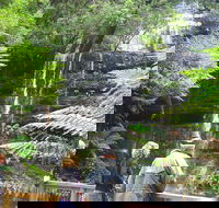 Mt Field National Park and Russell Falls from Hobart - Attractions Brisbane