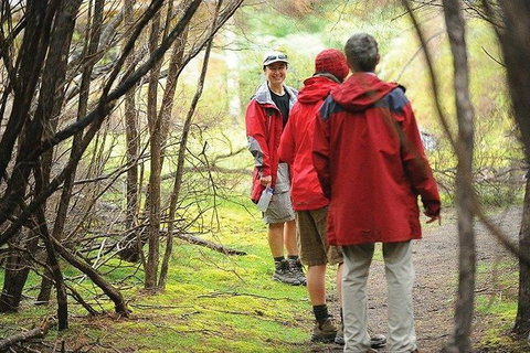 Great Walks Of Australia: 4-Day Freycinet Experience Walk - Attractions Brisbane 7
