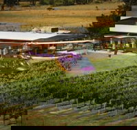 Home Hill Winery Helicopter Tour - Attractions Brisbane