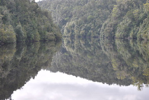 Gordon River Cruise Departing From Strahan - Attractions Brisbane 17