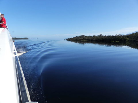 Gordon River Cruise Departing From Strahan - Attractions Brisbane 3