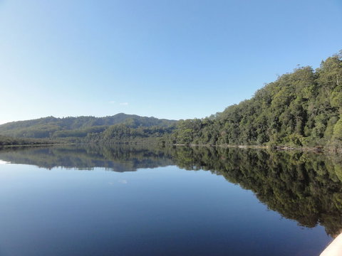 Gordon River Cruise Departing From Strahan - Attractions Brisbane 7