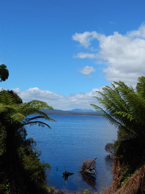 Gordon River Cruise Departing From Strahan - Attractions Brisbane 20