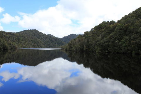 Gordon River Cruise Departing From Strahan - Attractions Brisbane 21