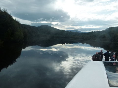 Gordon River Cruise Departing From Strahan - Attractions Brisbane 15