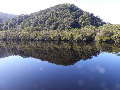 Gordon River Cruise Departing From Strahan - Attractions Brisbane 4