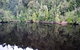 Gordon River Cruise Departing From Strahan - thumb 24