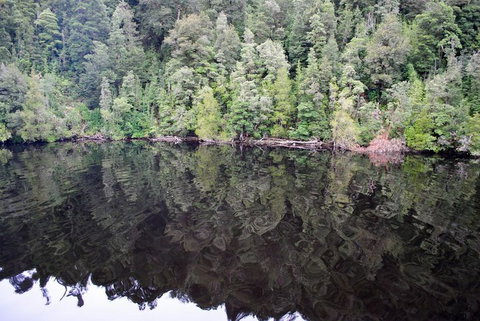 Gordon River Cruise Departing From Strahan - Attractions Brisbane 24