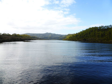 Gordon River Cruise Departing From Strahan - Attractions Brisbane 10