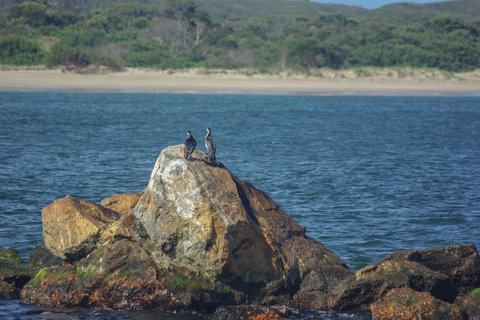 Gordon River Cruise Departing From Strahan - Attractions Brisbane 11