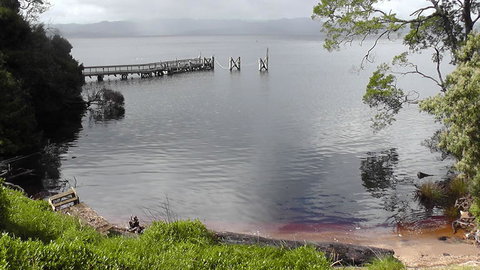Gordon River Cruise Departing From Strahan - Attractions Brisbane 22