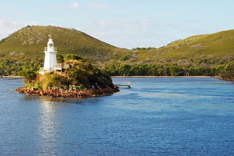 Gordon River Cruise Departing From Strahan - Attractions Brisbane 25