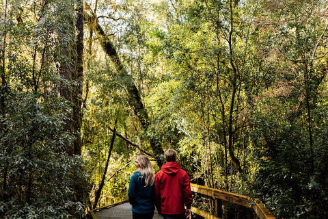 Gordon River Cruise Departing From Strahan - Attractions Brisbane 31