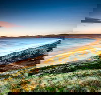 Full-Day Guided Bruny Island Tour from Hobart - Attractions Brisbane