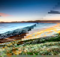 2 Day - Two of Tasmania's Best Tour - Attractions Brisbane