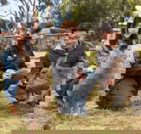 Bonorong Wildlife Park and Richmond Afternoon Tour from Hobart - Attractions Brisbane